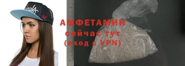 прущие грибы Михайлов
