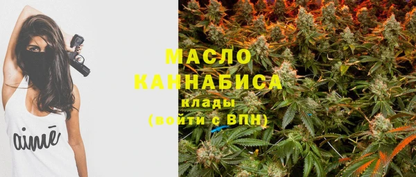 прущие грибы Михайлов