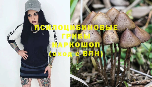 круглые Михайловск