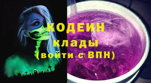 прущие грибы Михайлов