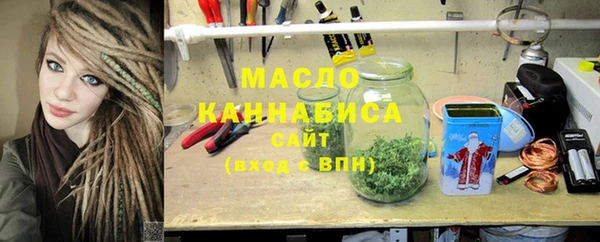 прущие грибы Михайлов