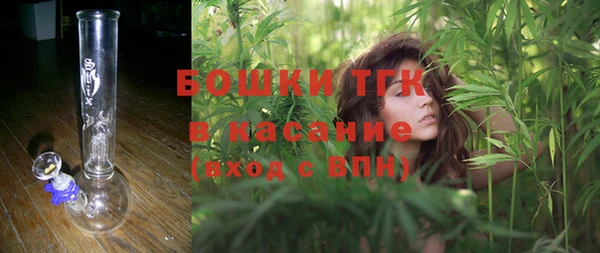 прущие грибы Михайлов