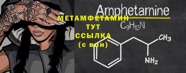 прущие грибы Михайлов