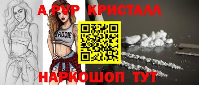 СК Кингисепп