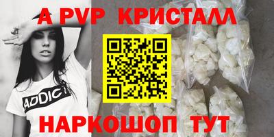 СК Кингисепп