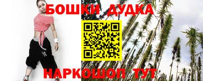 СК Кингисепп