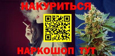 СК Кингисепп