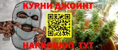 СК Кингисепп
