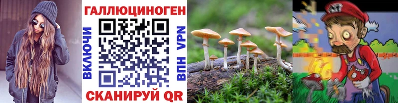 Псилоцибиновые грибы Psilocybe  Пенза 