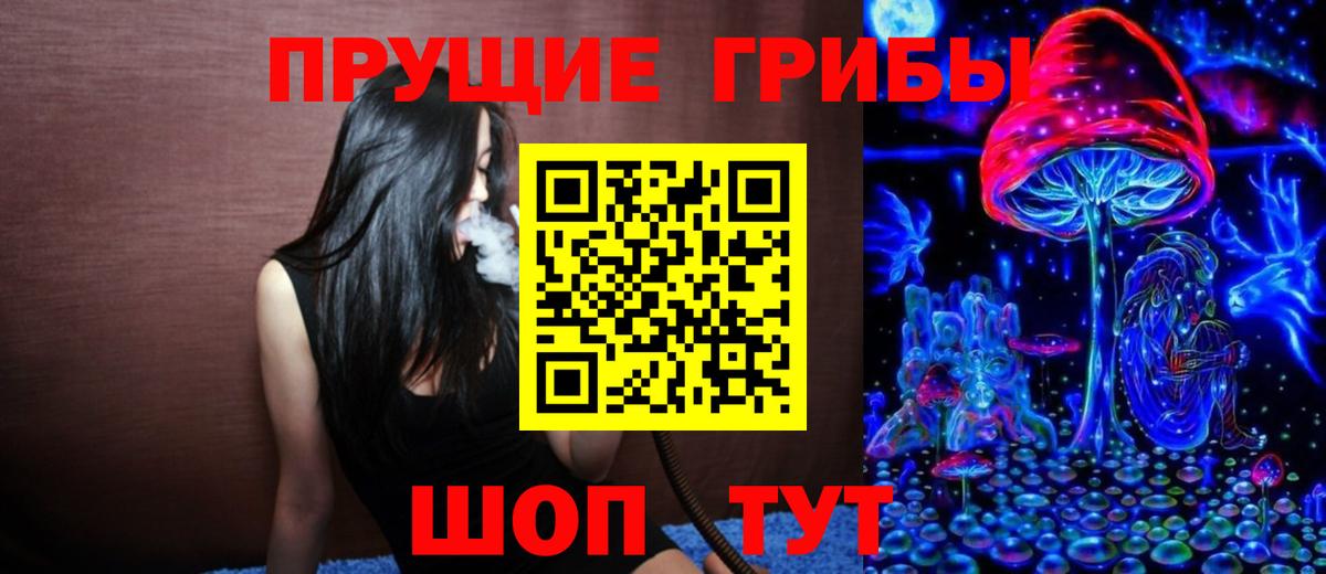 Псилоцибиновые грибы ЛСД  Галлюциногенные грибы Psilocybine cubensis  где найти   Пенза  Вход с VPN 