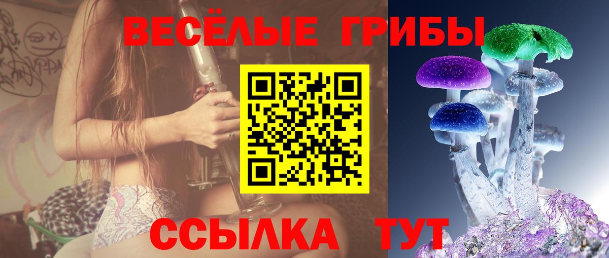Псилоцибиновые грибы Psilocybe  Пенза 